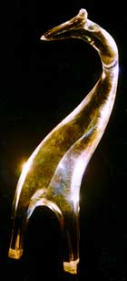 жираф в полризованном свете