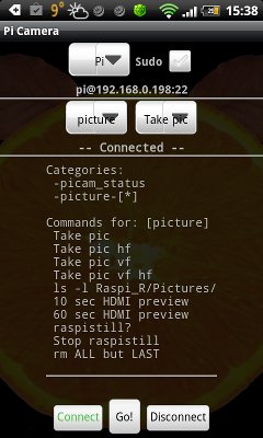 Raspi-R