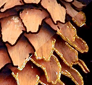 Фотография отпечатка при различном освещении