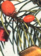 Фотография на холсте