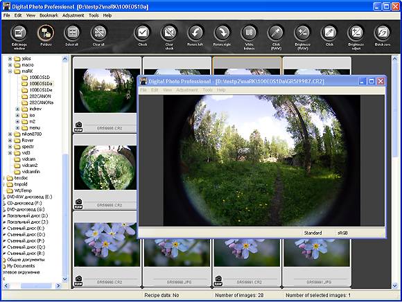 Digital Photo Professional