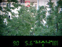 Видоискатель