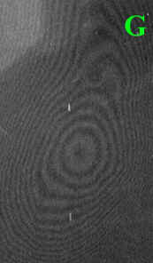 Кольца Ньютона