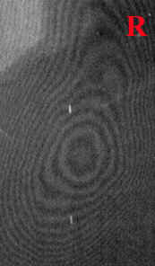 Кольца Ньютона