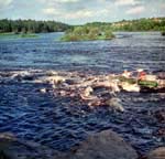 Негатив (пленка ДС4)