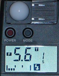 ведущее число