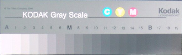 Тестовые шкалы