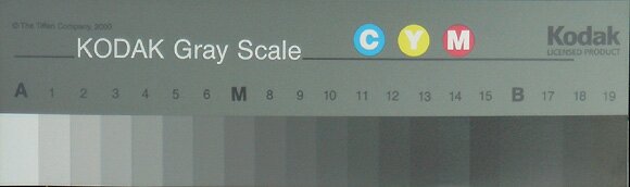 Тестовые шкалы