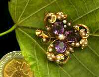 СКАНОГРАММА