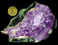 СКАНОГРАММА