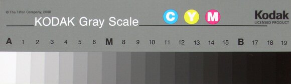 тестовые шкалы