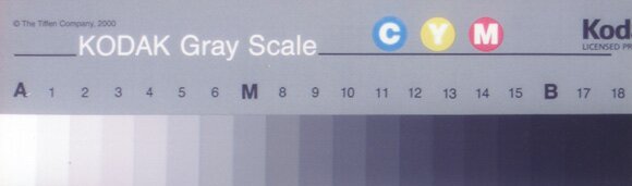 тестовые шкалы