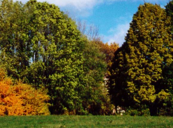 Фрагмент фотографии